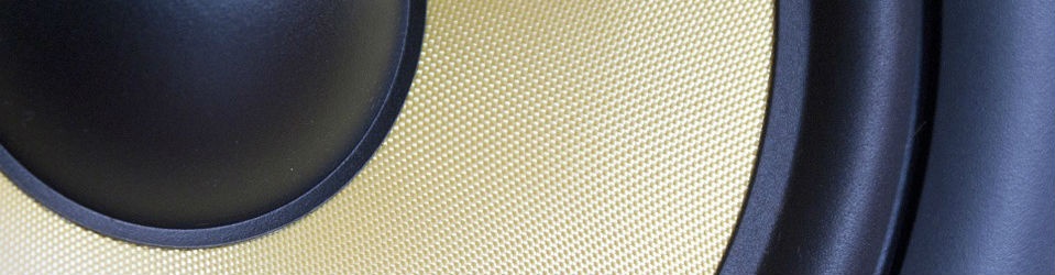 Studio monitor speaker cone