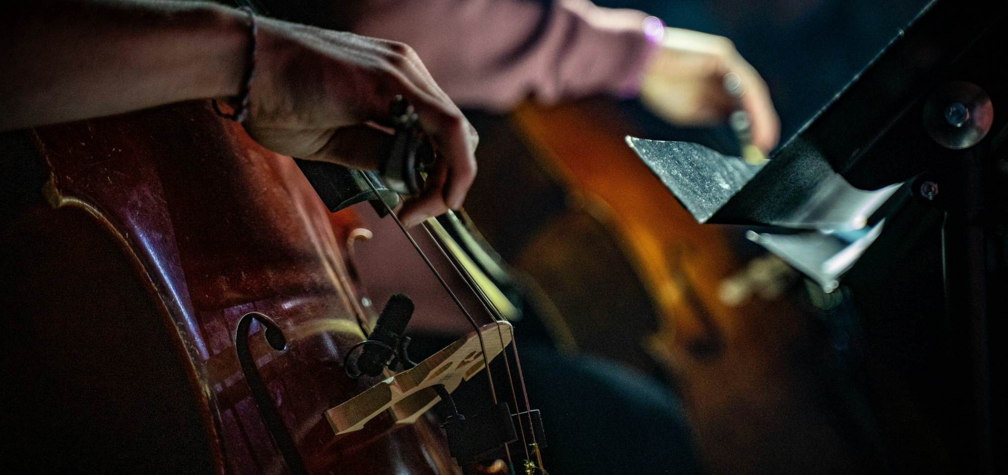 Close-up of musicians playing cellos, highlighting the instrument's details and their technique.